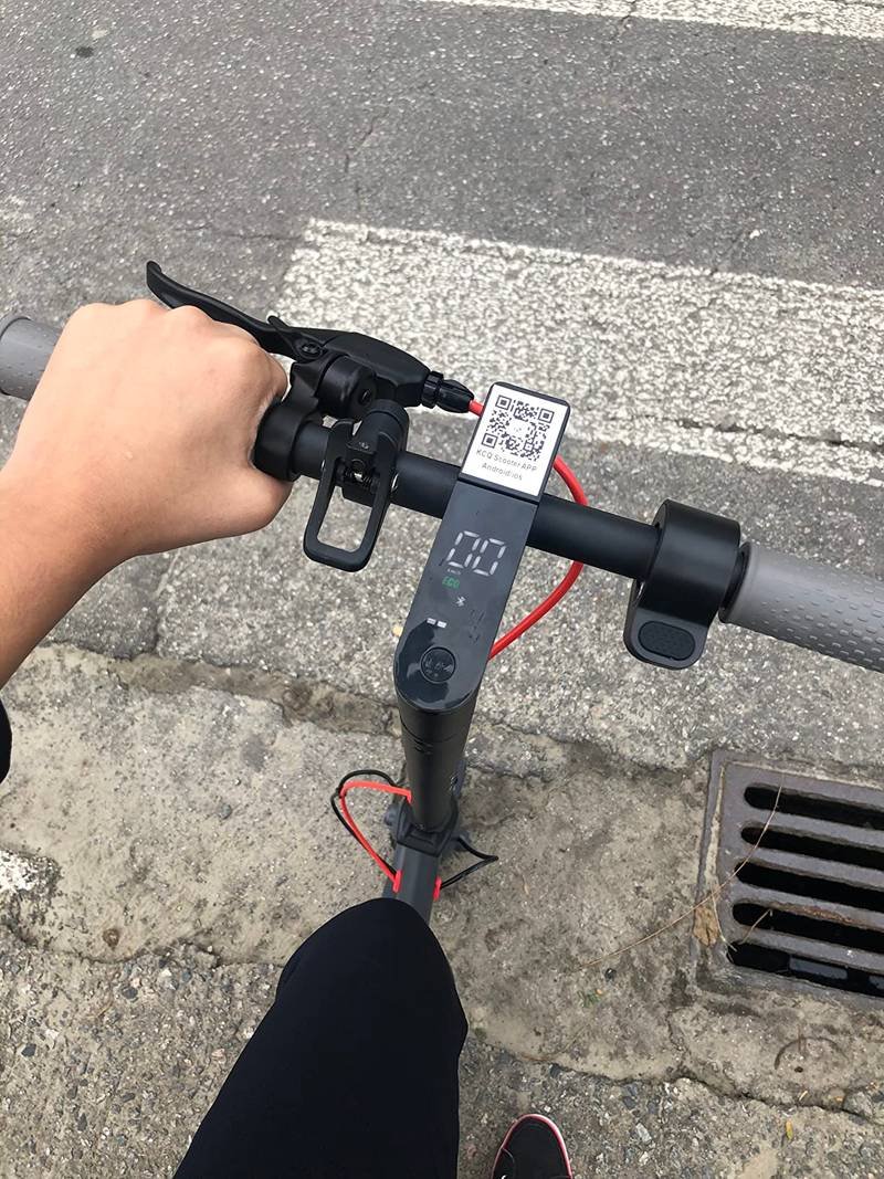 Foto enviada por Letícia Gomes